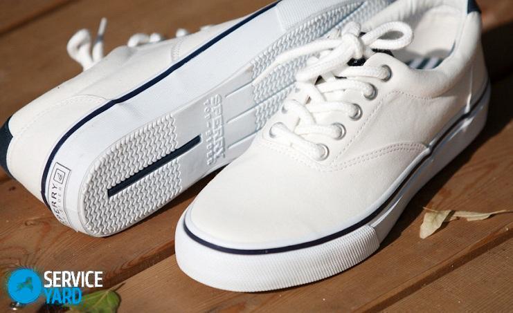 vans-spb