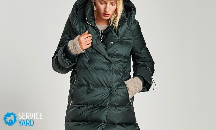 zara-1