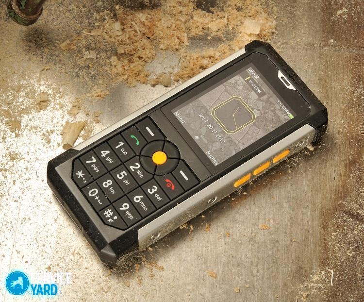 cat_B100_dust