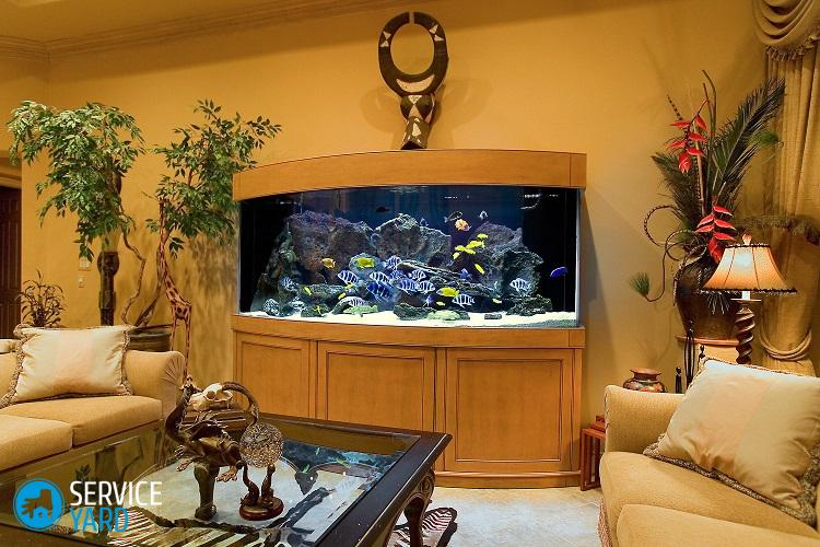 1-aquarium_interior_fishtank